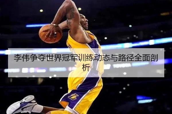 李伟争夺世界冠军训练动态与路径全面剖析